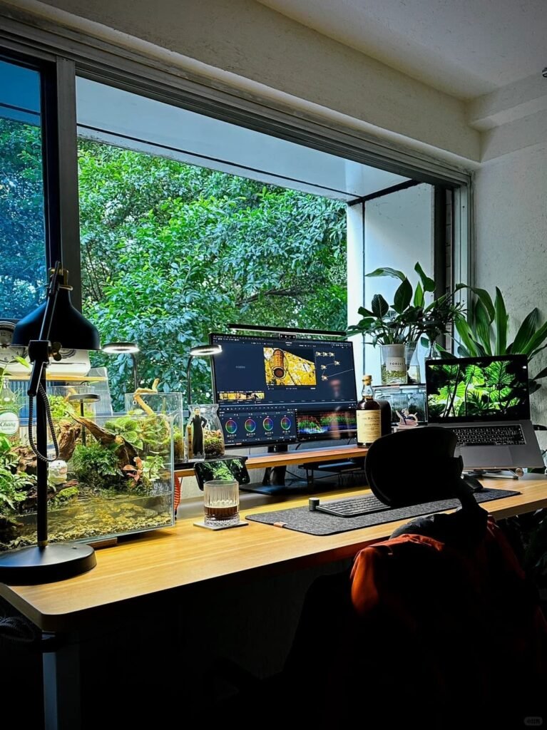 Peaceful office with a large green indoor plant placed near the monitor for relaxing screen breaks.

